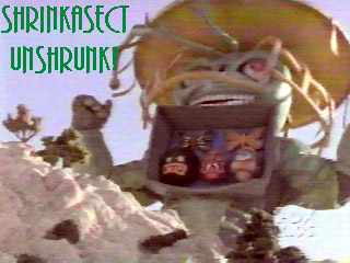 Shrinkasect Unshrunk