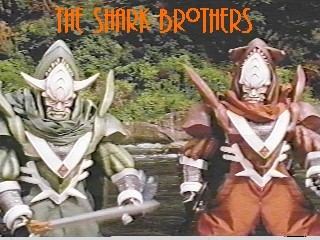 The Shark Brothers