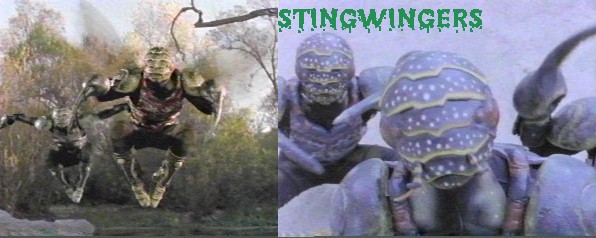 Stingwingers